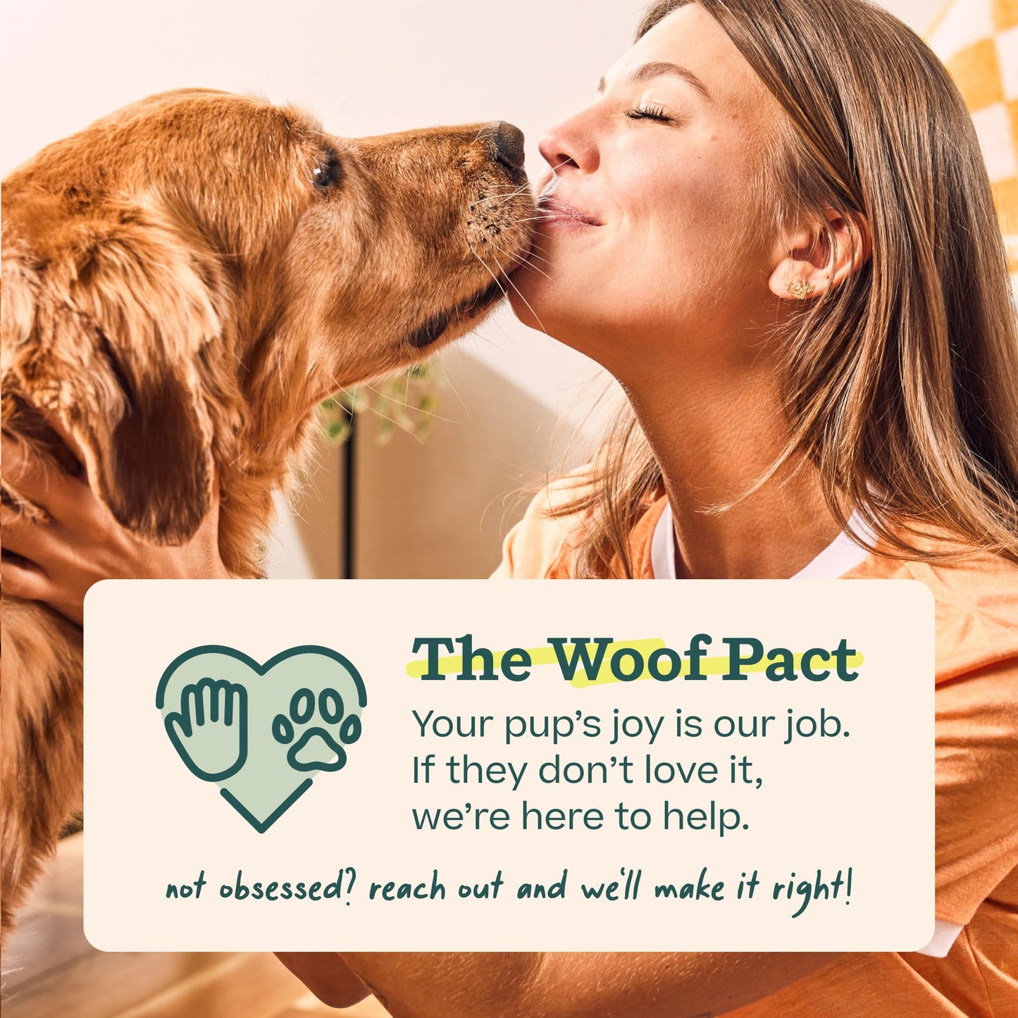 WOOF Dog Pupsicle Mix - Easy-to-Make DIY Pupsicle Refills - Tasty, Healthy Pupsicle Mix - Wholesome Ingredients - Long-Lasting - Calming Mix