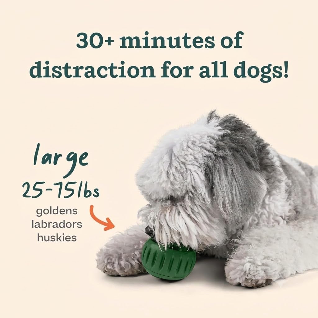 WOOF Starter Pack - Interactive Dog Ball Toy for Boredom - Dog Treat Molds Silicone - Chicken-Flavored Healthy Treats for Dogs - Pupsicle Doggy Enrichment Toy - for Large Pups - 25-75 lbs