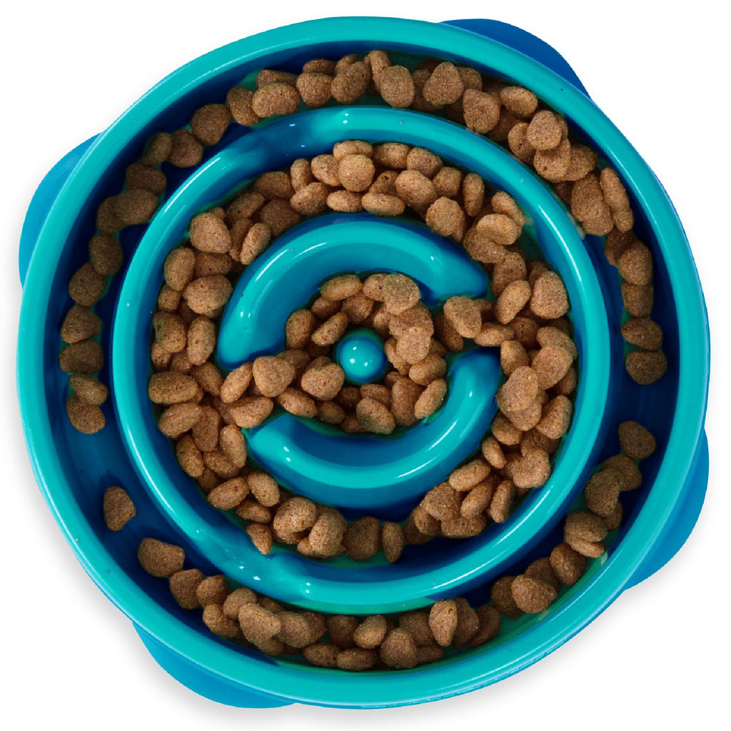Outward Hound Fun Feeder Slo Bowl – Medium 2‑Cup Capacity, Slow Feeding, Small to Medium Dogs & Cats, Non-Slip, Turquoise, Drop Pattern
