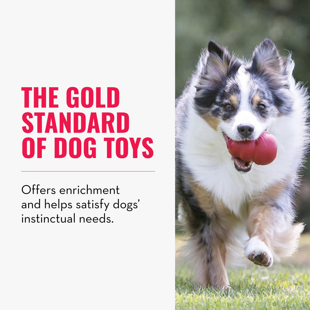 KONG Classic Stuffable Dog Toy - Fetch & Chew Toy for Dogs - Treat-Filling Capabilities & Erratic Bounce for Extended Play Time - Durable Natural Rubber Material - for Small Dogs