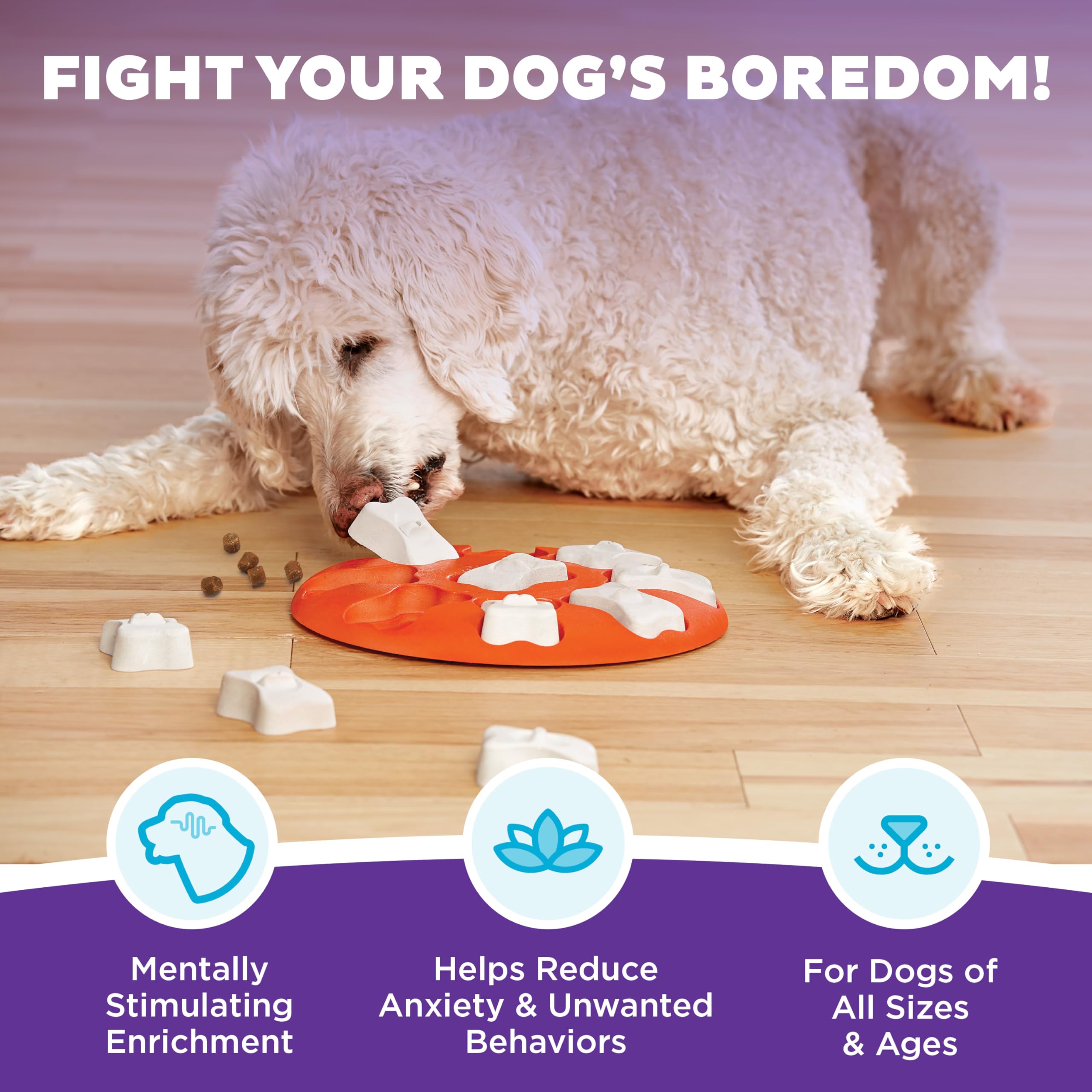 Outward Hound by Nina Ottosson Dog Smart Treat Puzzle Enrichment Toy, Level 1 Beginner, Orange