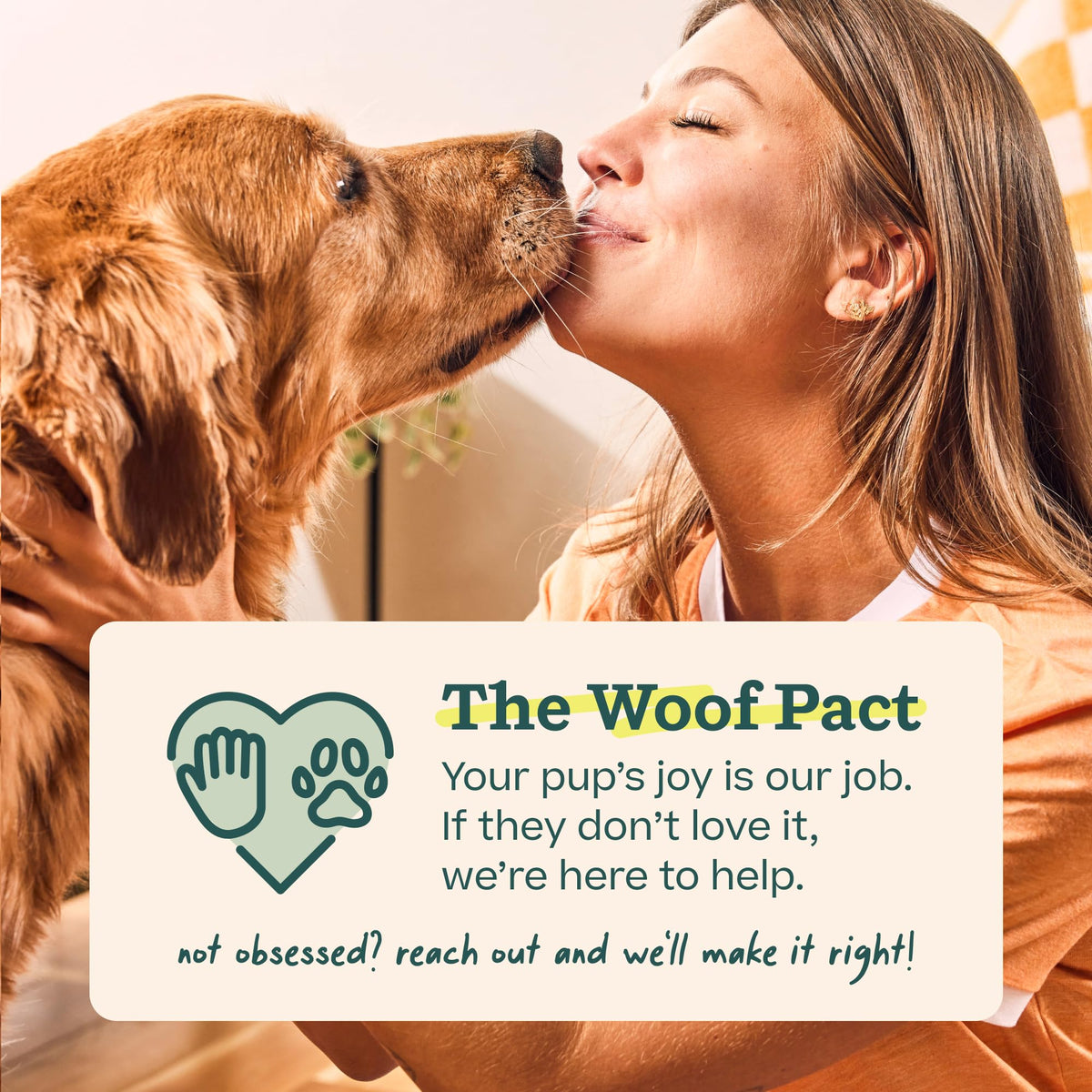 WOOF Dog Pupsicle Mix - Easy-to-Make DIY Pupsicle Refills - Tasty, Healthy Pupsicle Mix - Wholesome Ingredients - Long-Lasting - Calming Mix