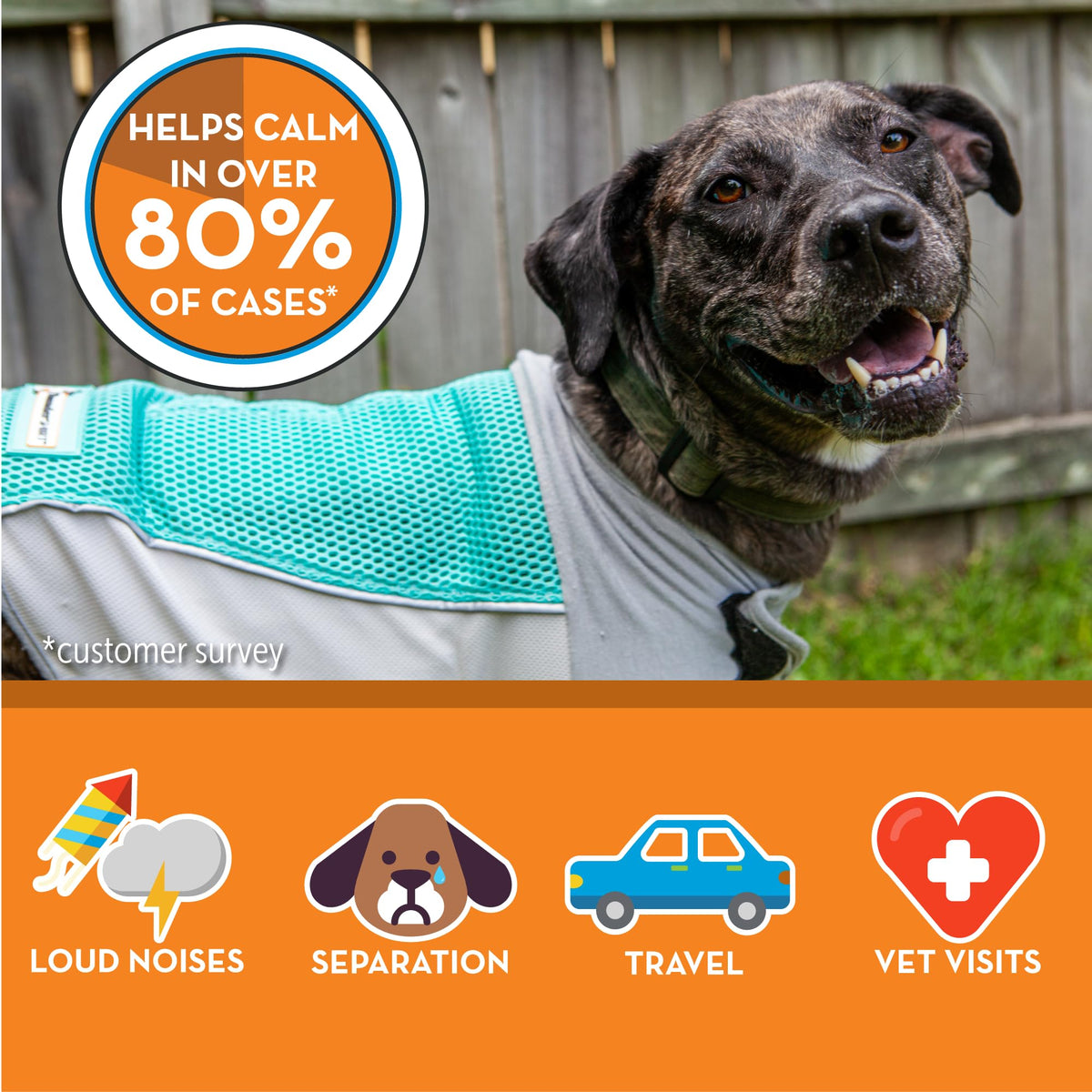 ThunderShirt Breeze for Dogs Calming Anxiety Vest, Medium, Aqua