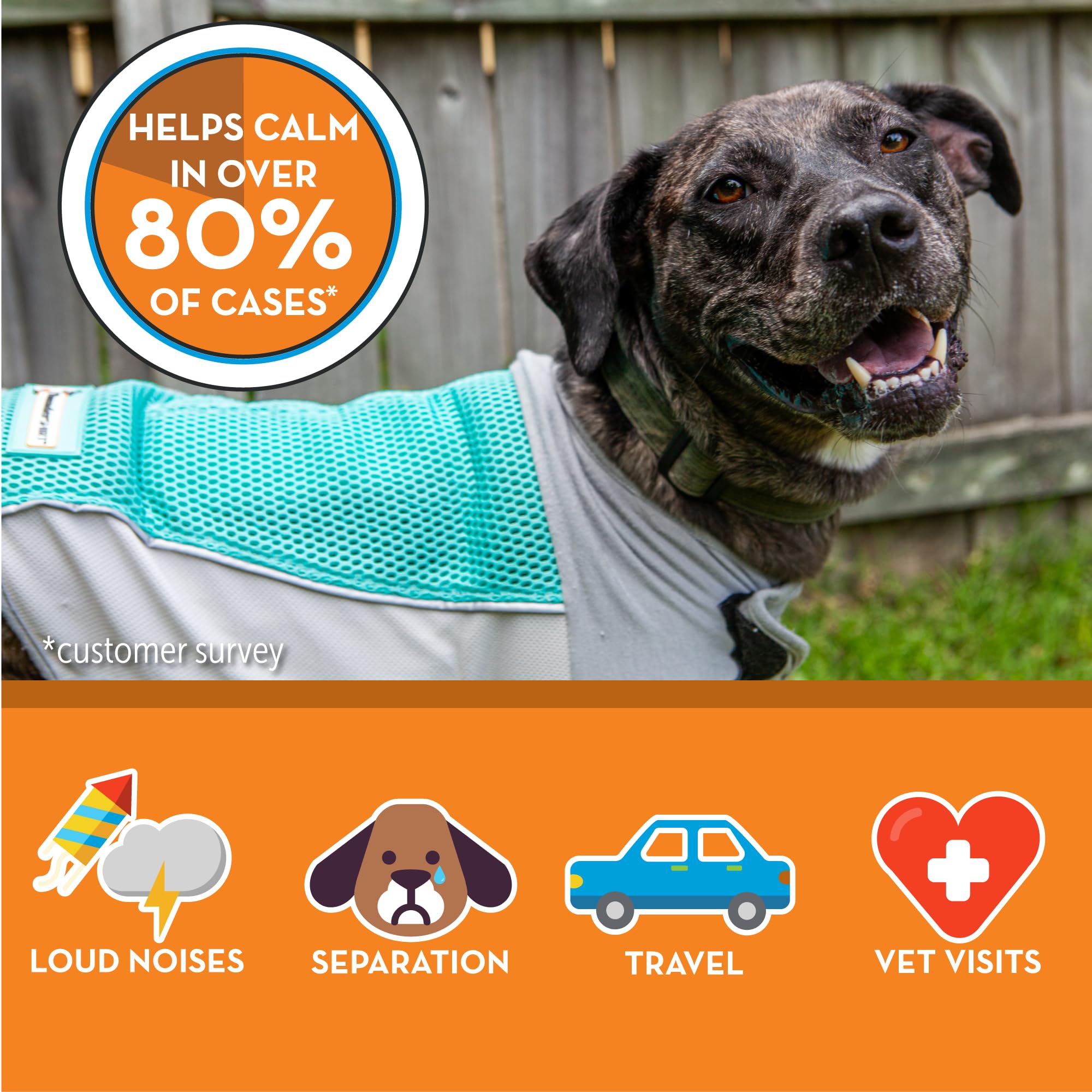 ThunderShirt Breeze for Dogs Calming Anxiety Vest, Medium, Aqua